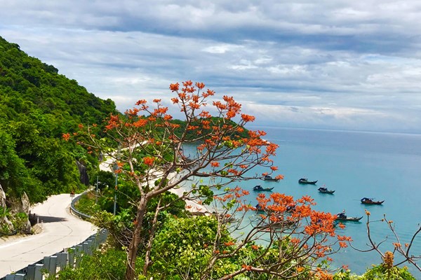 Lễ hội hoa ngô đồng ở Cù Lao Chàm diễn ra từ ngày 18 – 25.7 - Anh 4