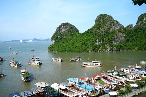 Lộ trình thực hiện các mục tiêu phát triển bền vững Việt Nam đến năm 2030 - Anh 1