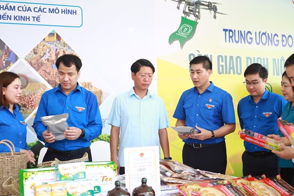 Ngày cao điểm ‘Tình nguyện chung tay xây dựng nông thôn mới” - Anh 2