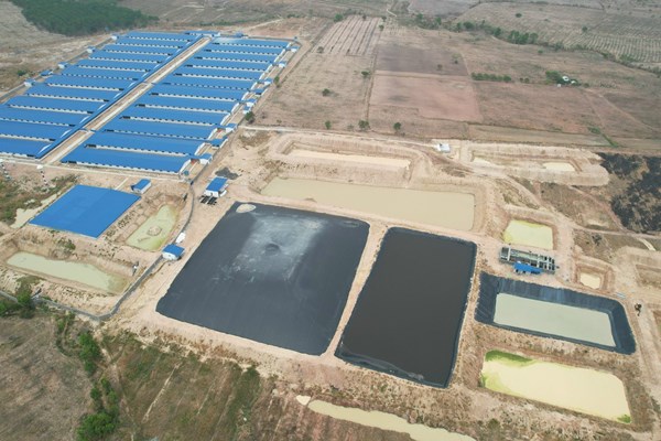 Gia Lai: Xử phạt 4 doanh nghiệp chăn nuôi heo gần 1,3 tỉ đồng vì không có giấy phép môi trường - Anh 1