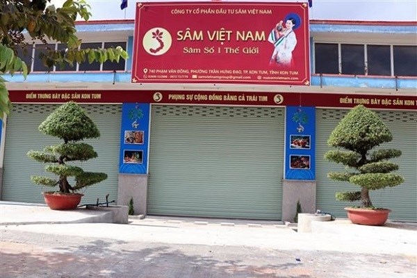 Sâm Ngọc Linh Kon Tum: Nhiều hành vi trục lợi thương hiệu - Anh 2