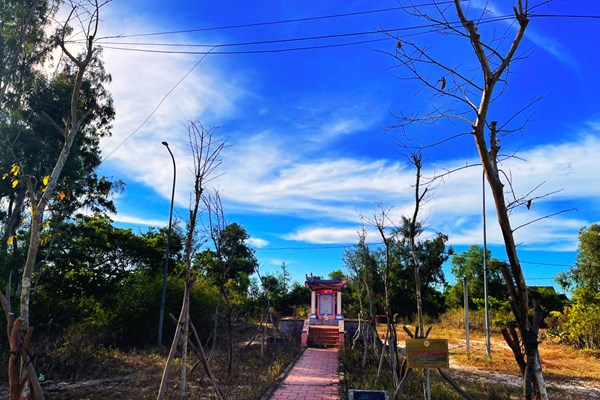 Bản hùng ca trên vùng cát trắng - Anh 3