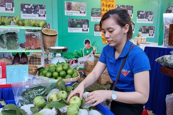 Quảng Ngãi: Đưa sản phẩm vùng đồng bào DTTS và miền núi đến gần hơn với người tiêu dùng - Anh 3