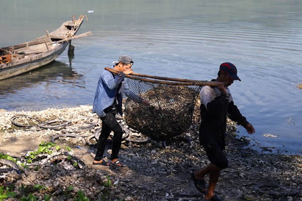 Danh thắng Đầm Lập An đang bị “bức tử” - Anh 2
