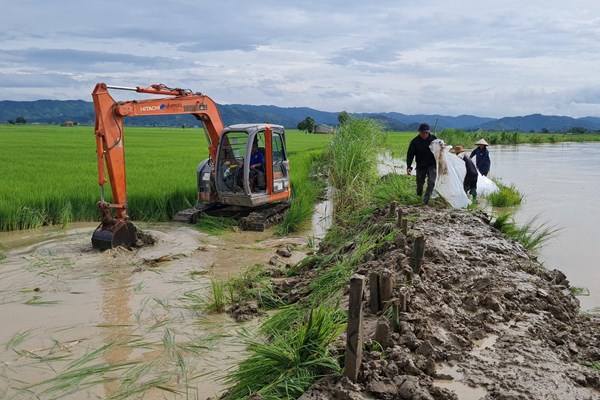 Đắk Lắk, Đắk Nông thiệt hại nặng nề do mưa lũ - Anh 1
