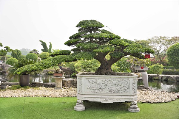 Triển lãm và Hội thi sinh vật cảnh khu vực miền Trung - Tây Nguyên mở rộng năm 2023 - Anh 2