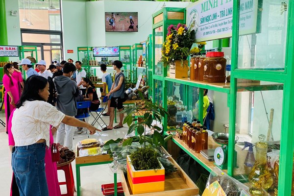 60 gian hàng tham gia phiên chợ sâm Ngọc Linh lần thứ 56 - Anh 1
