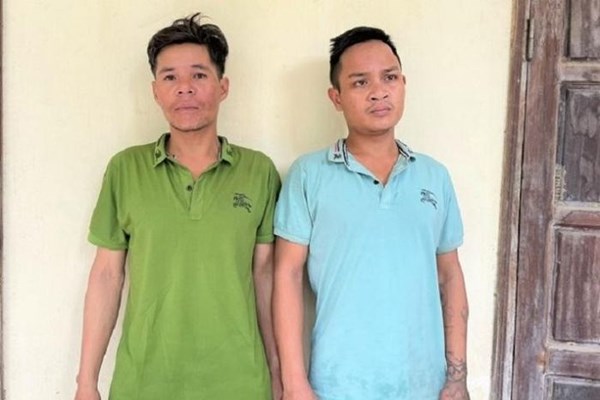Bắt hai đối tượng trộm hàng trăm gốc sâm Ngọc Linh - Anh 1