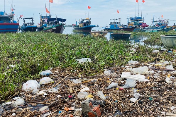 Rác thải bủa vây cảng cá An Lương - Anh 2