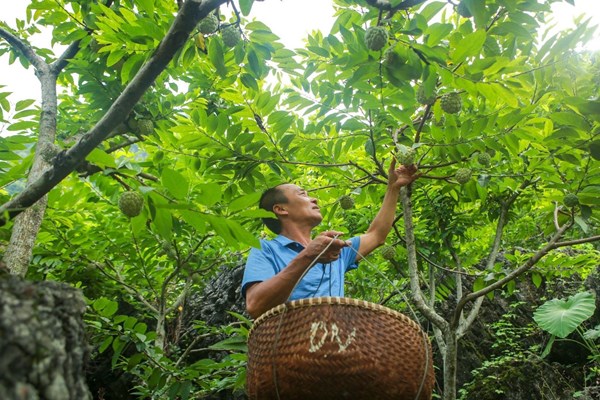 Tổ chức Ngày hội văn hóa thể thao các dân tộc huyện Chi Lăng - Anh 2