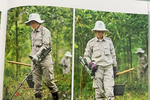 Những ký ức không thể nhạt phai - Anh 2