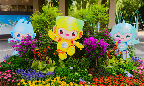 Hai nội dung thi đấu tại Asian Games bị huỷ bỏ - Anh 1