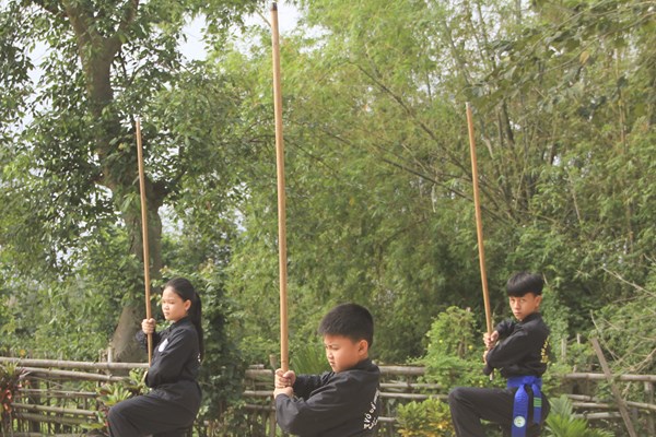 Hành trình đưa Võ cổ truyền Việt Nam ra thế giới (Bài 1): Đến Bình Định mà coi... - Anh 2