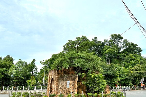 Cây cối lại mọc um tùm trên cổng thành cổ tuyên quang: Chọn cây xanh hay bảo tồn di tích? - Anh 2