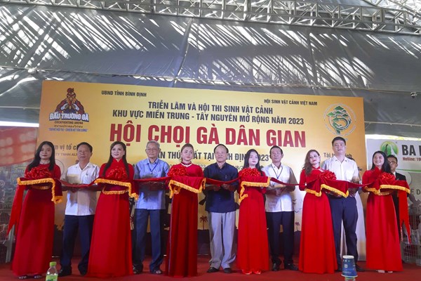 Bình Định: Hấp dẫn nghệ thuật Hội Chọi gà dân gian lần thứ nhất - Anh 1