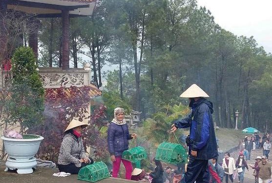 Khuyến cáo phật tử không mua, bán chim hoang dã để phóng sinh - Anh 1