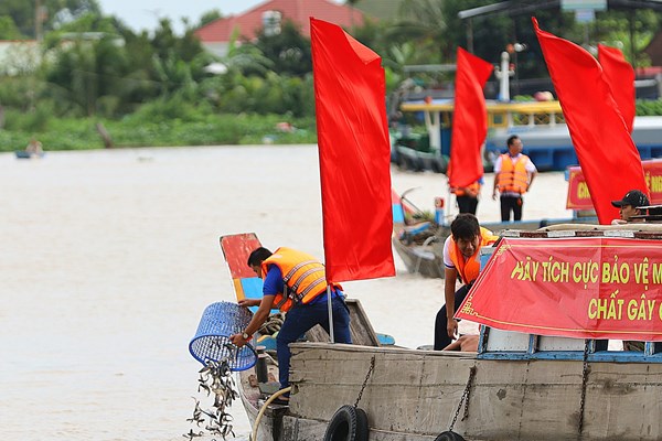 Thả hơn 1 triệu con cá giống xuống sông Hậu tái tạo nguồn lợi thủy sản - Anh 3