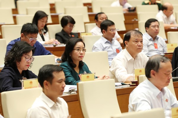 Khai mạc Hội nghị triển khai Luật, Nghị quyết của Quốc hội - Anh 4