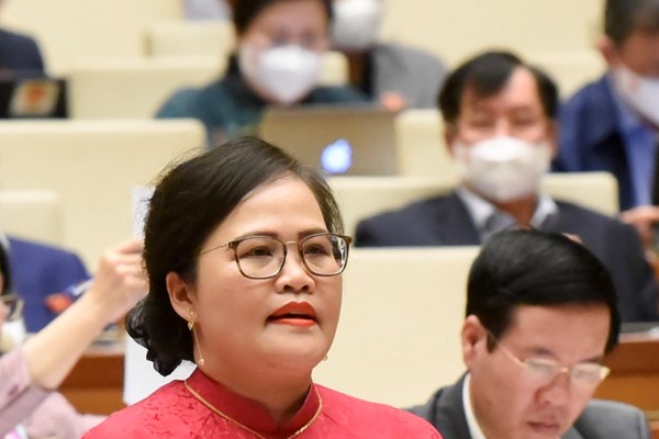 Chương trình mục tiêu quốc gia chấn hưng, phát triển văn hóa, xây dựng con người Việt Nam: Đáng lẽ phải được triển khai sớm hơn - Anh 5