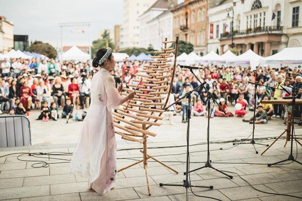 Ngày Việt Nam tại Slovakia - Anh 2