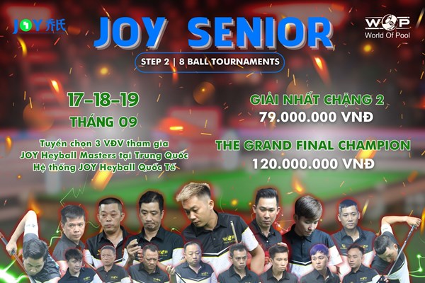 Hấp dẫn Giải Billiards Joy Heyball chuyên nghiệp đầu tiên tại Việt Nam - Anh 1