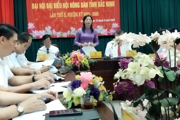 Nông dân tỉnh Bắc Ninh phát triển nông nghiệp sinh thái, hiện đại - Anh 1