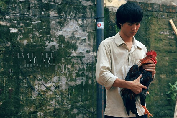 “Đất rừng Phương Nam” đối đầu với “Thành phố ngủ gật” - Anh 2