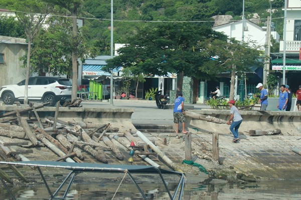 Ninh Thuận: Kiểm tra, xử lý hoạt động du lịch “chui” trên vịnh Vĩnh Hy - Anh 4