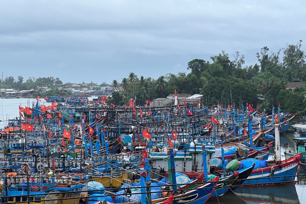Quảng Ngãi kêu gọi tàu thuyền khẩn trương vào nơi neo trú an toàn - Anh 1