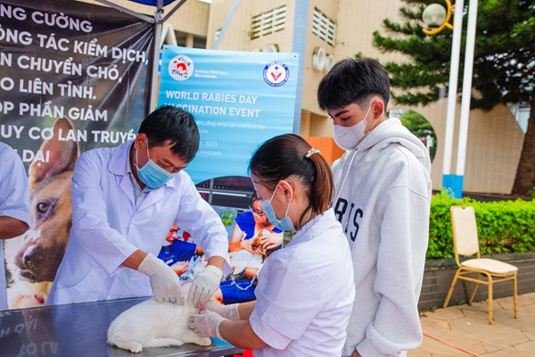 Ngày Thế giới phòng chống bệnh dại: Tiêm vắc xin và chấm dứt nạn mua bán chó, mèo - Anh 1