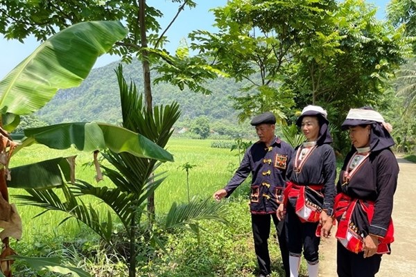 Thanh Hóa: Biểu dương người có uy tín trong đồng bào các dân tộc thiểu số - Anh 2