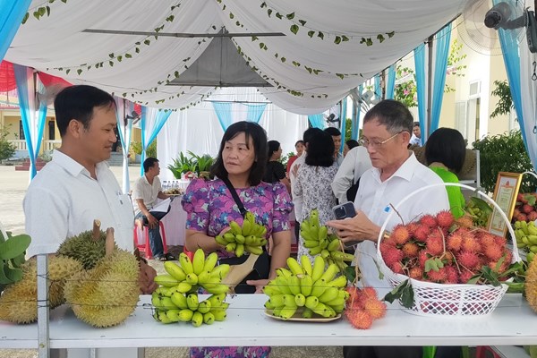 Hội thảo khoa học phát triển vùng chuyên canh cây ăn quả lớn nhất Quảng Ngãi - Anh 3