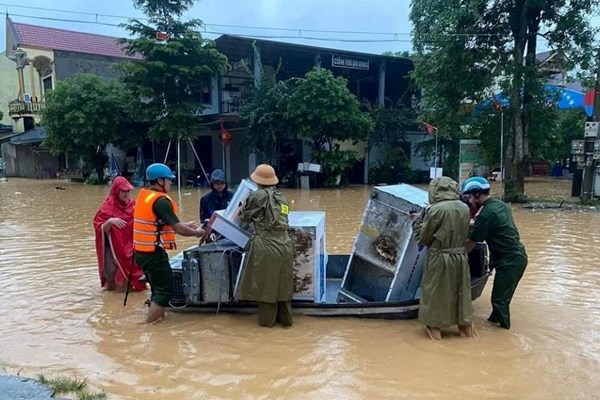 Chủ động ứng phó mưa lũ tại khu vực miền Trung - Anh 1