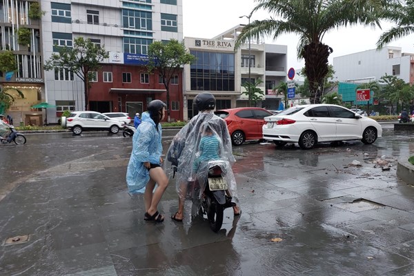 Đà Nẵng: Học sinh nghỉ học vì mưa lớn - Anh 1