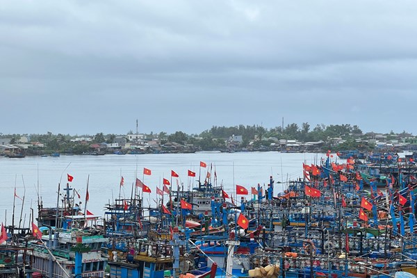 Quảng Ngãi: Biển động mạnh, một ngư dân mất tích khi đang hành nghề câu thúng ven bờ - Anh 2