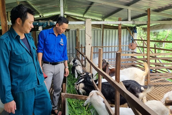 Khi thanh niên năng động, sáng tạo - Anh 2