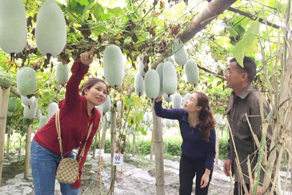 Sản phẩm du lịch độc đáo made in Việt Nam - Anh 4