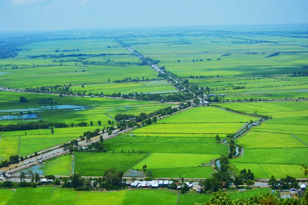 Tạo dấu ấn phát triển nông nghiệp, nông thôn bền vững - Anh 1