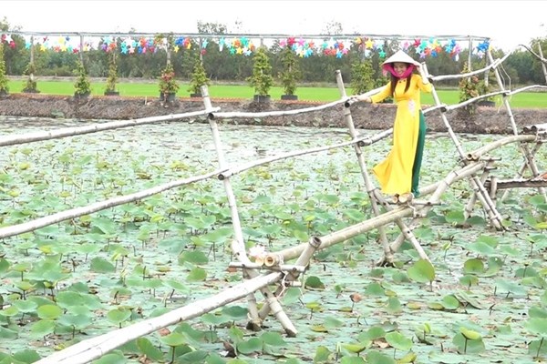 Tạo dấu ấn phát triển nông nghiệp, nông thôn bền vững - Anh 2