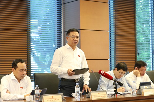Đại biểu Quốc hội: Cần chú trọng đầu tư phát triển văn hoá - Anh 3