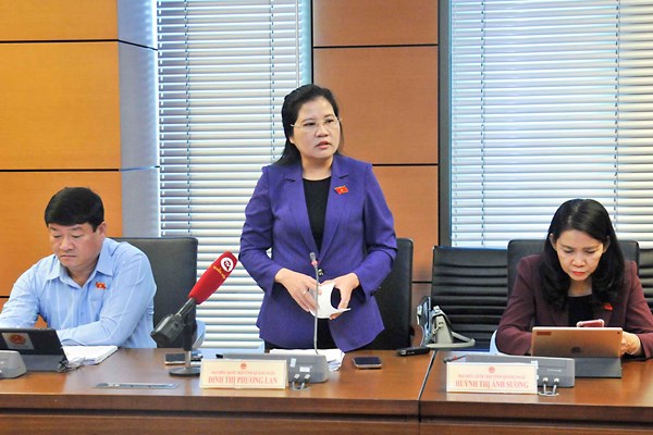 Đại biểu Quốc hội: Cần chú trọng đầu tư phát triển văn hoá - Anh 1