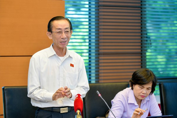 Đại biểu Quốc hội: Cần chú trọng đầu tư phát triển văn hoá - Anh 4