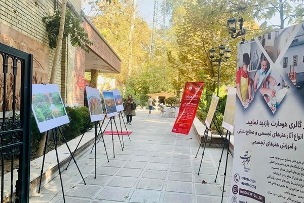 Nghệ sĩ Iran vẽ tranh về Việt Nam - Anh 2