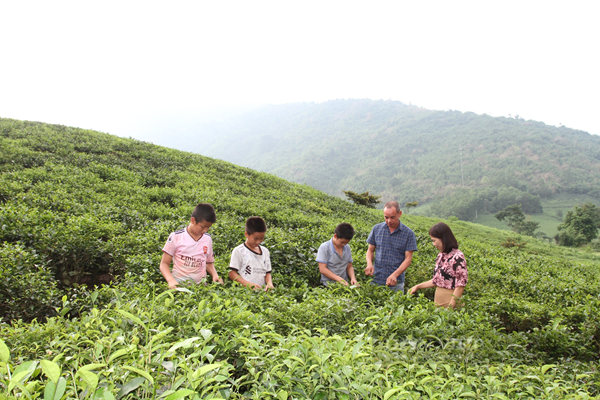 Tạo không gian phát triển sản phẩm OCOP - Anh 1