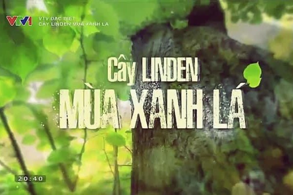 Phim tài liệu 