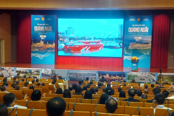 Quảng bá tiềm năng, thế mạnh Quảng Ngãi đến các đối tác quốc tế - Anh 1