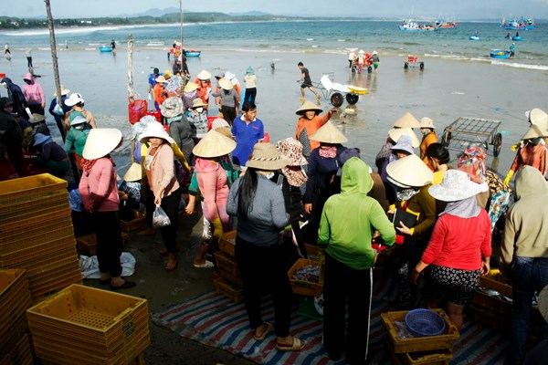Ngư dân Quảng Ngãi mưu sinh mùa biển động - Anh 4