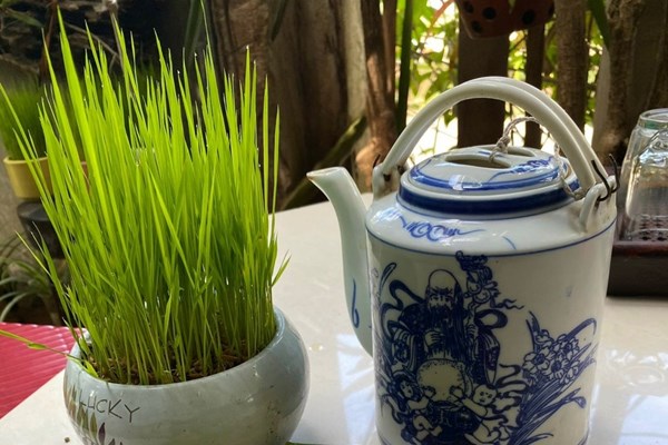 Bánh da lợn, món ăn dân dã đặc sản ở Hội An - Anh 1