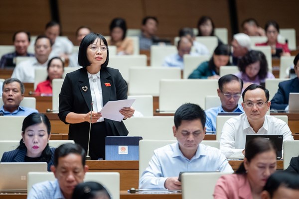 Cần quy định chặt chẽ hơn việc quản lý, sử dụng nhà ở nhiều tầng, nhiều căn hộ - Anh 2