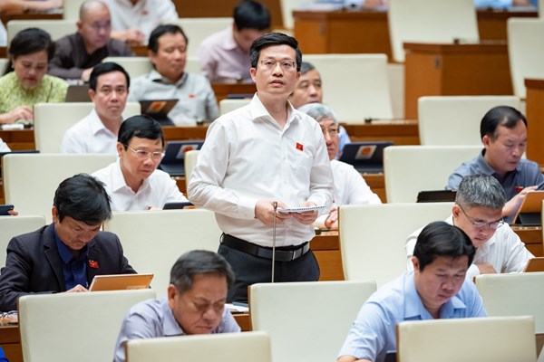 Đại biểu Quốc hội đề nghị tránh tư duy coi văn hoá chỉ là giải trí - Anh 1